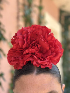 PEONÍA ROJA
