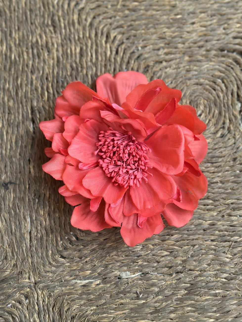 FLOR RITA CORAL
